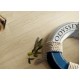 коллекция Odyssey коллекция Odyssey