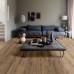 Пвх-плитка клеевая Moduleo SELECT BRIO OAK 22877